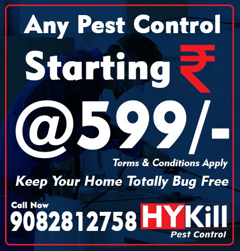 hykill-pest-control
